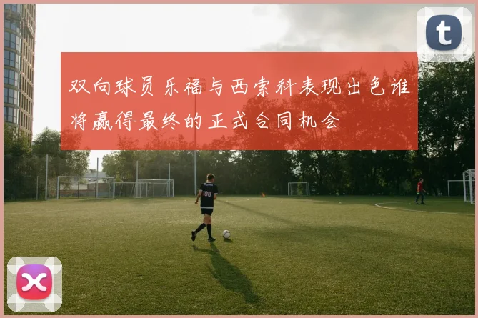 双向球员乐福与西索科表现出色谁将赢得最终的正式合同机会